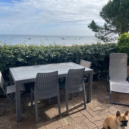 Vue Sur Le Bassin Lägenhet Arcachon
